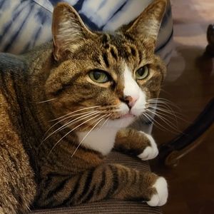 Meet your Posher, Susan